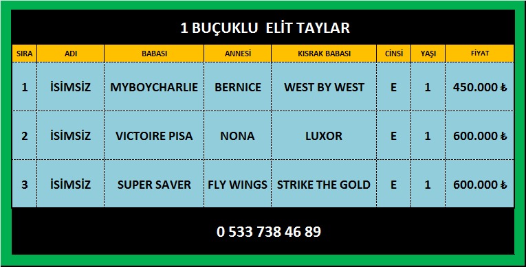 KANEKO VE VICTOIRE PISA GEBESİ ELİT KISRAKLAR BİR BUÇUKLU SUPER SAVER,MYBOYCHARLIE VE VICTOIRE PISA TAYLARI VE KOŞAR DURUMDA ATLAR